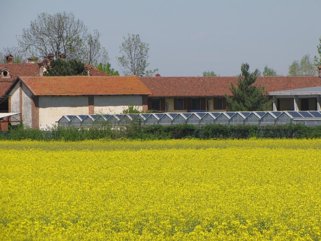 Al Casale B&B Cherasco Buitenkant foto